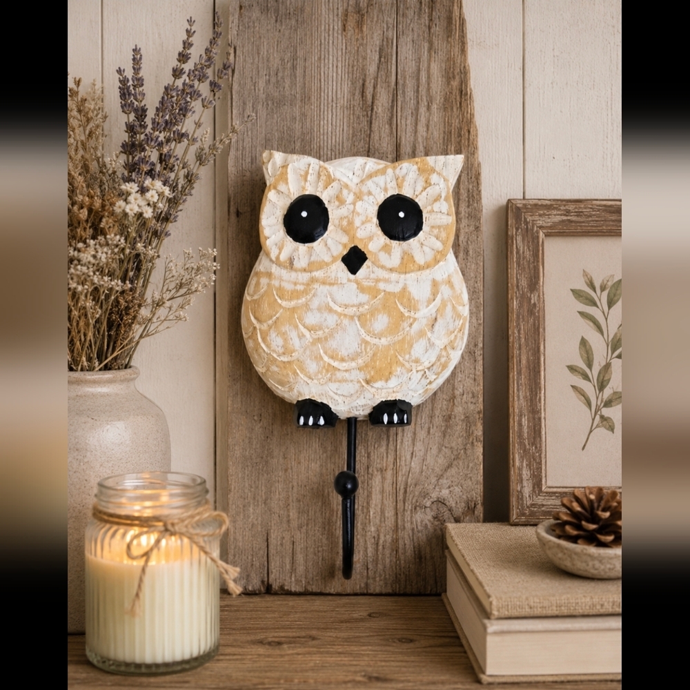 Whimsical Owl Wall Hook Artsy Cottage Granny Farmhouse Novelty Gift New With Tag